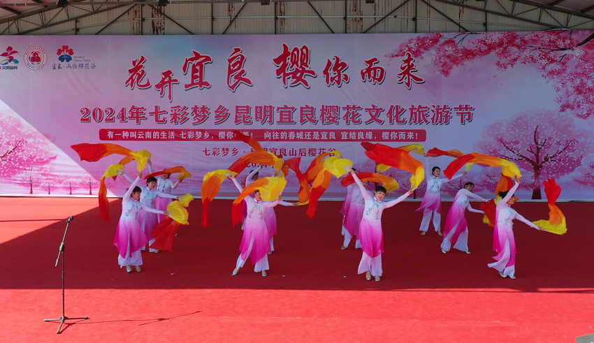 宜良樱花节开幕式演出活动现场。宜良县委宣传部供图