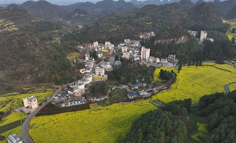 乡村振兴示范园。