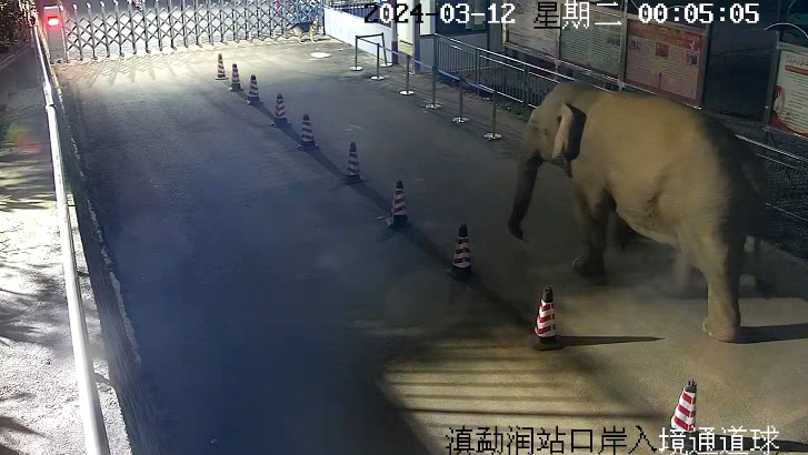 监控视频截图