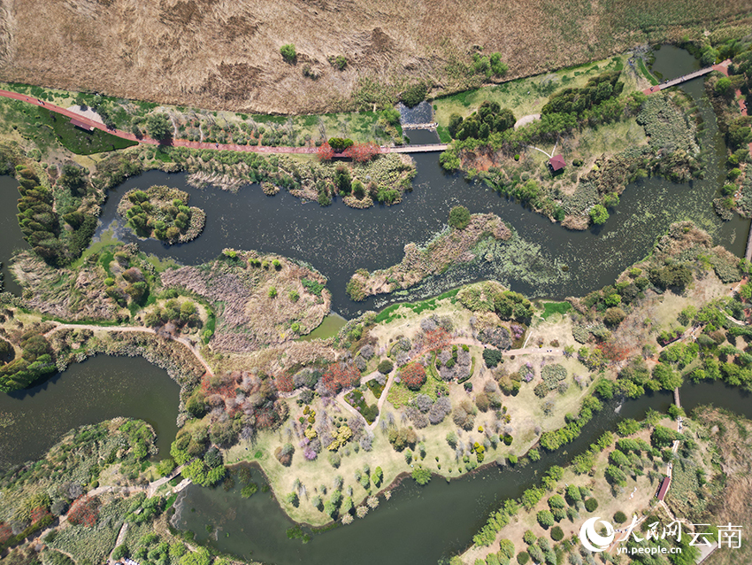 图为春日里的昆明宝丰湿地公园。人民网记者 程浩摄