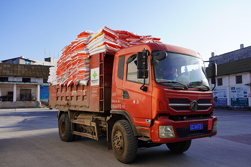 載滿化肥的卡車開往各村級網點。