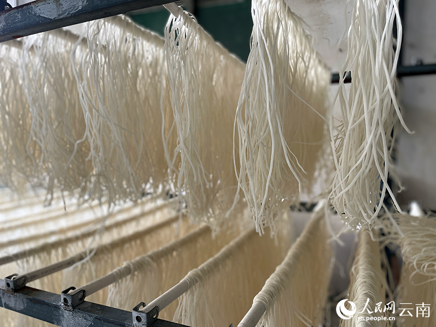 村裡米線加工產的廠房裡晾晒的米線。人民網記者-程浩攝
