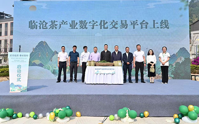 临沧茶产业数字化交易平台启动现场.