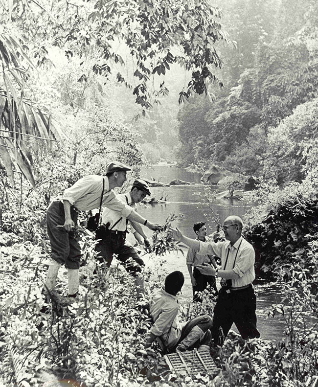 1974年，蔡希陶（右）和他的学生在原始森林中考察。中国科学院西双版纳热带植物园供图