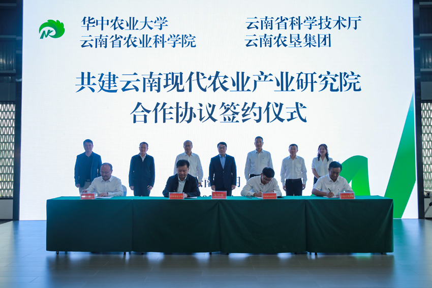 云南现代农业产业研究院合作签约仪式现场。云南农垦集团供图
