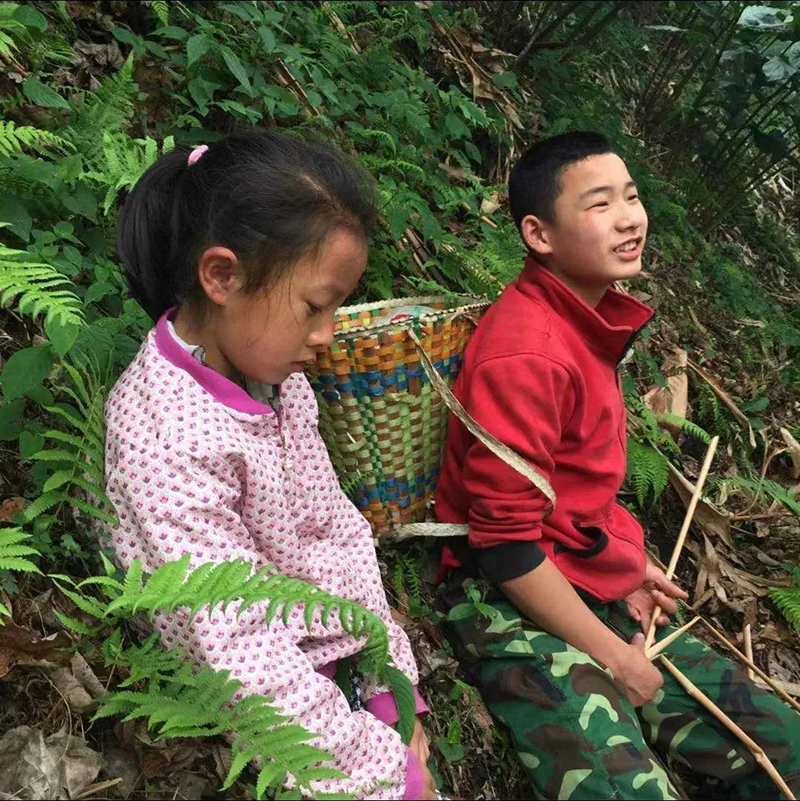 【3】小时候就吃苦耐劳的赵新强（右一）和妹妹，在帮大人干农活路上。受访者供图