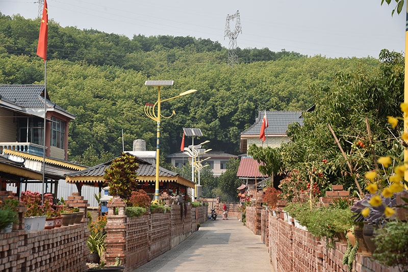 如今的陇海小组，傣家小楼与绿树繁花和谐相融。孟连县融媒体中心供图