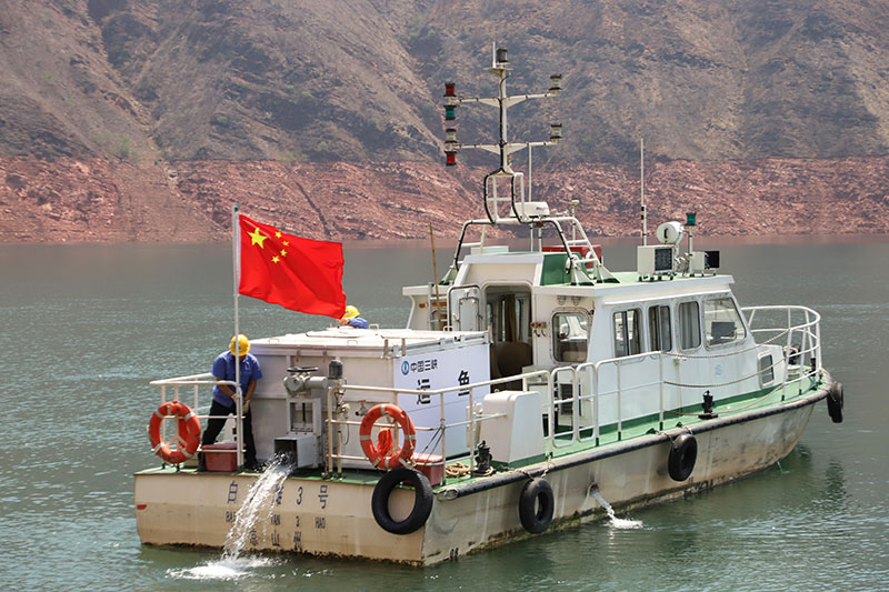 对集运鱼进行放流。张顺富摄