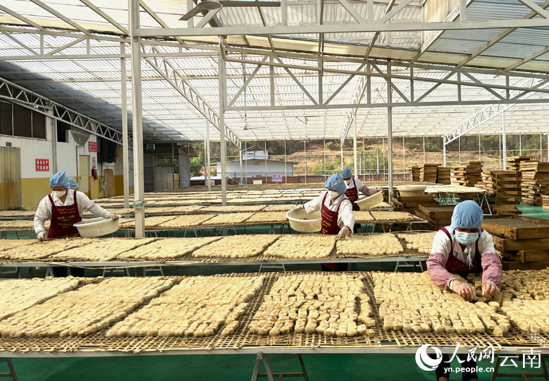 【图1】工人正在整理第一次发酵的豆腐。人民网-尹馨摄.jpg