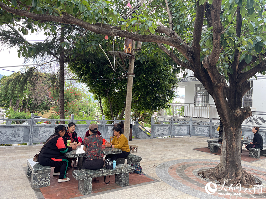 文苑小区内，居民们围坐在一起休闲娱乐。人民网记者 程浩摄