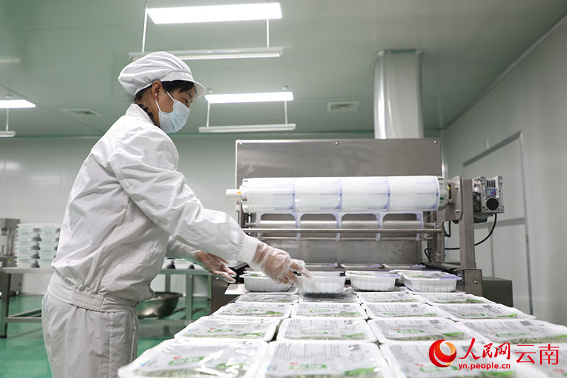 村民正在包装贡菜。杨印品摄
