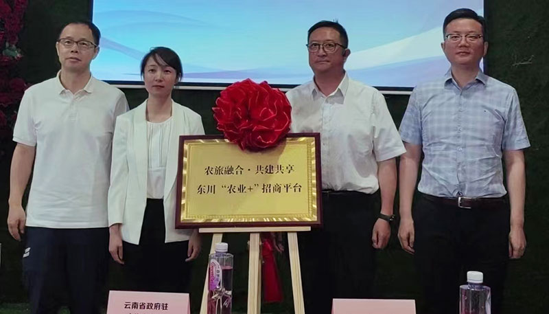 东川“农业+”招商平台启用