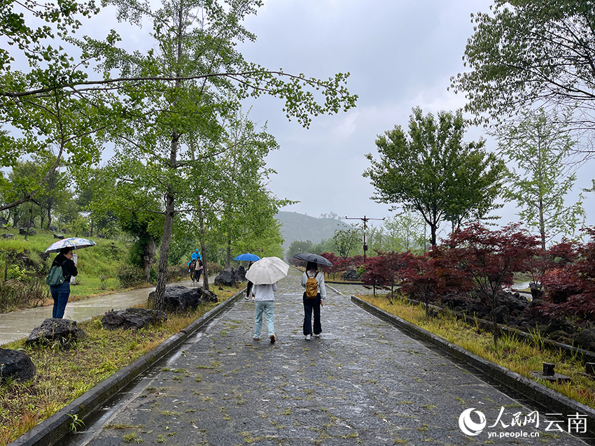 景区里，游客撑伞游览。人民网记者  程浩摄