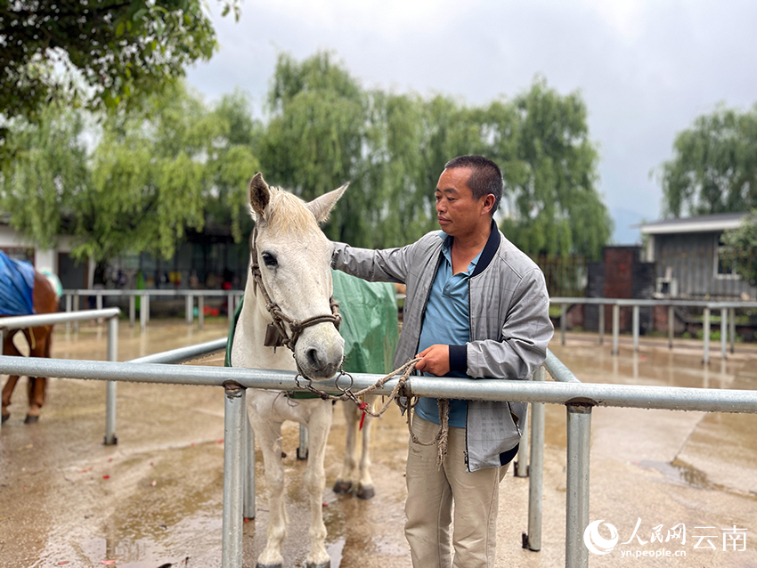 周洪林和自家的马匹。人民网记者 程浩摄