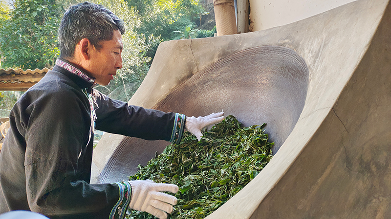 马永俊正在炒茶。周晓鹃摄