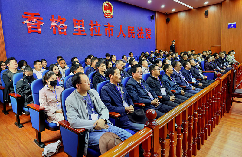 香格里拉市组织开展党纪学习教育警示教育集中旁听庭审活动。