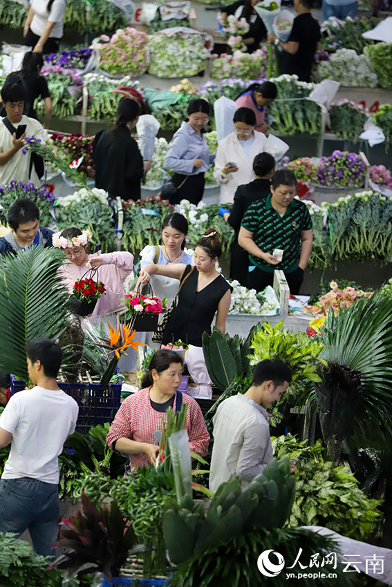 游客在昆明斗南花卉市场选购鲜花。人民网记者 李发兴摄