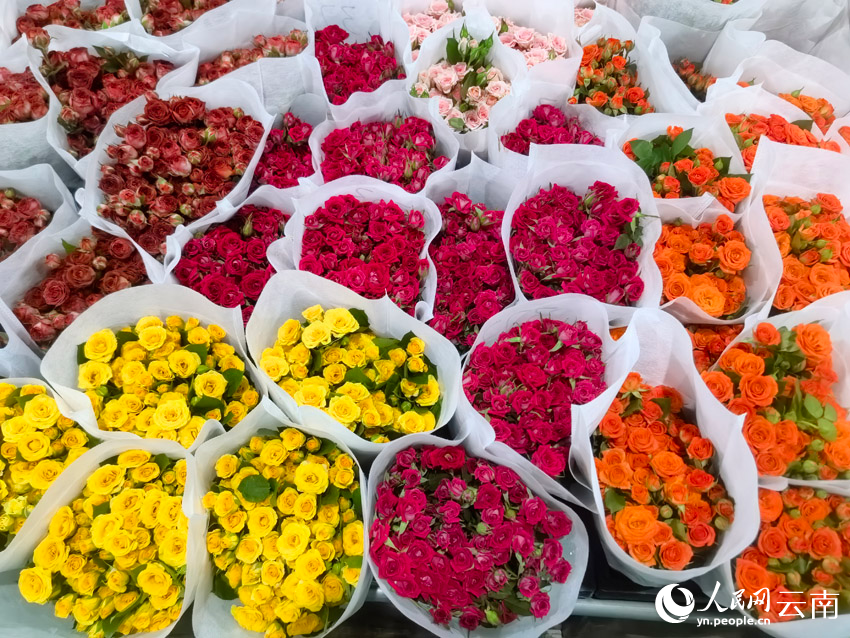 斗南花卉市场里的鲜花。人民网记者 黄玉琦摄