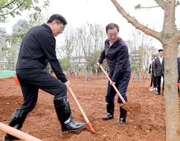 云南省领导参加义务植树活动