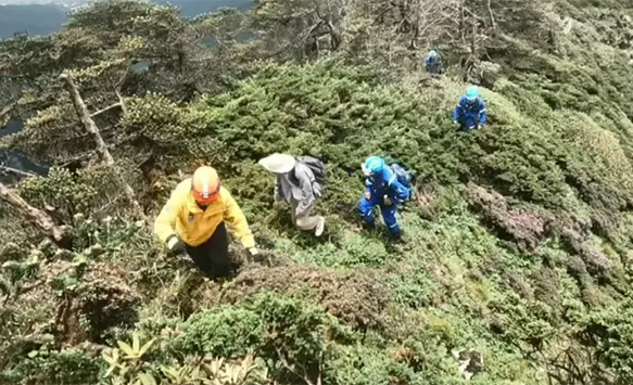 3700米海拔 2人迷路 大理金翅鸟山难救援队16小时成功营救
