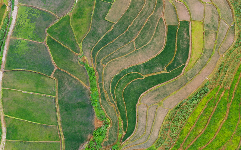 西盟县新厂镇永广村土地航拍。刁弘智摄