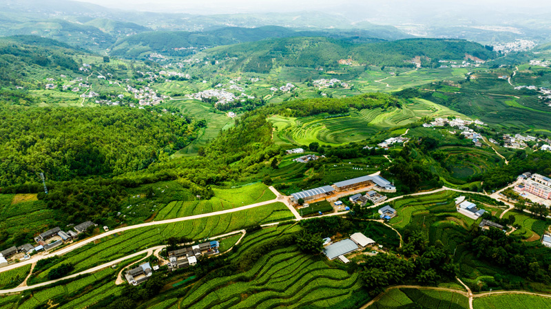 航拍鲁图村。杨聪娟摄.jpg