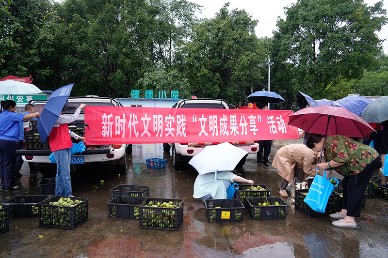 当地将人行道旁芒果树收获的46筐芒果免费发放给市民。德宏州委宣传部供图