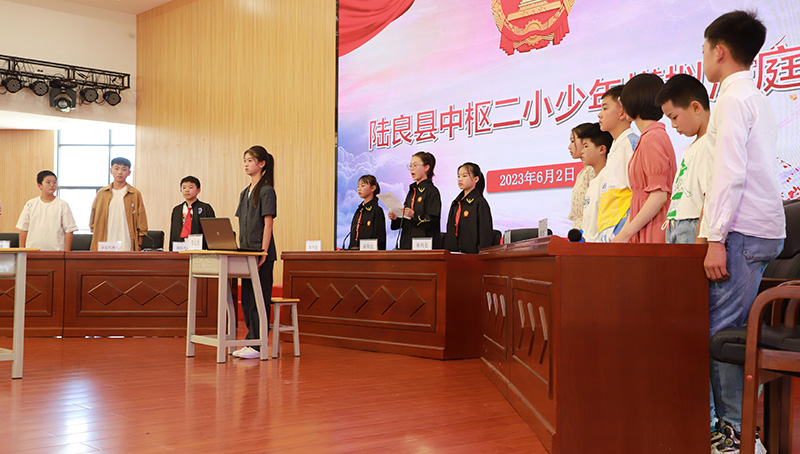 陆良县人民法院开展少年模拟法庭活动。