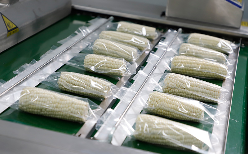 等待封装的糯玉米青储饲料加工（7月9日杨全伟拍摄）
