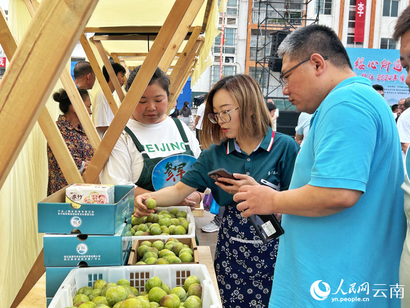 【5】綏江縣半邊紅李採摘節，現場客商雲集，產銷兩旺。人民網記者-劉怡攝.jpg