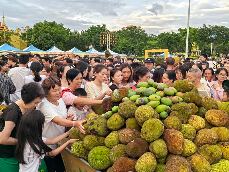 【1】芒市水果分享現場氣氛熱烈，市民、游客紛紛前來領取水果。楊幫慶-攝