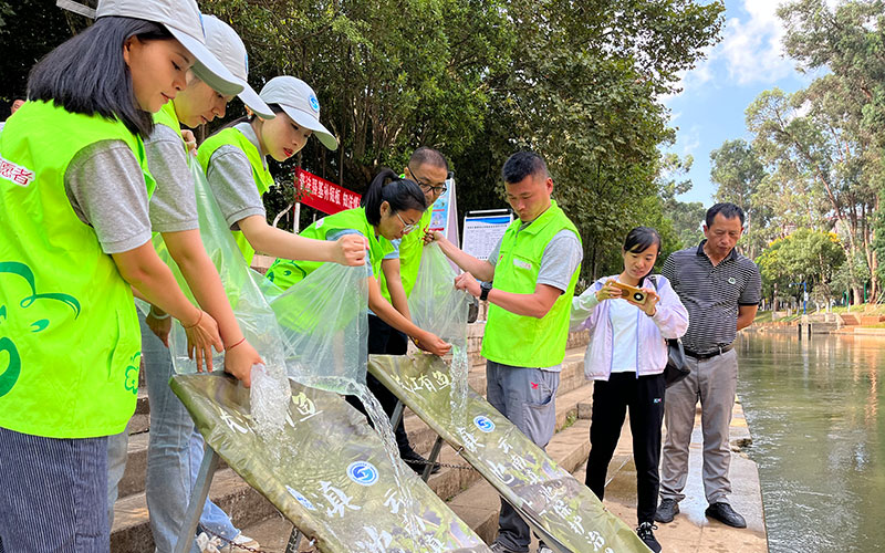 圖為滇池金線鲃魚苗放流現場。昆明市滇池管理局供圖