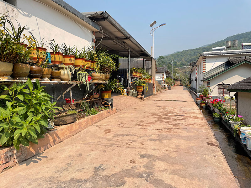 村内干净整洁的道路。杨廷荣摄