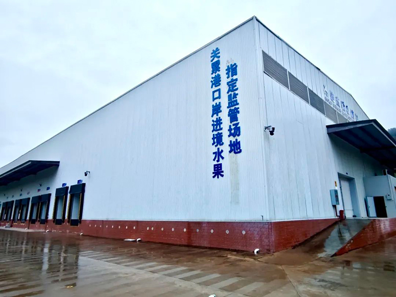 关累港口岸进境水果指定监管场地顺利通过海关总署验收。西双版纳州委宣传部供图