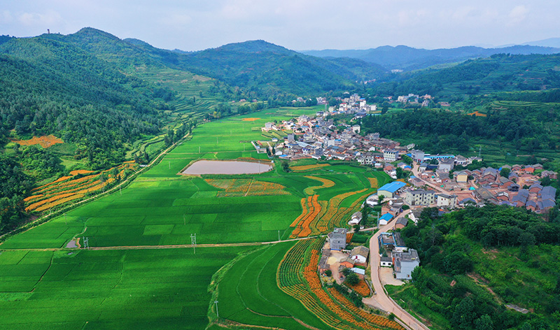 干群共商乡村振兴建设。