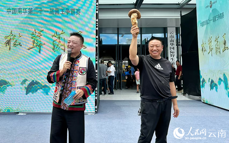 【2】最终童建荣（图右）的3号松茸获得松茸“菌王”称号。人民网记者-刘怡摄