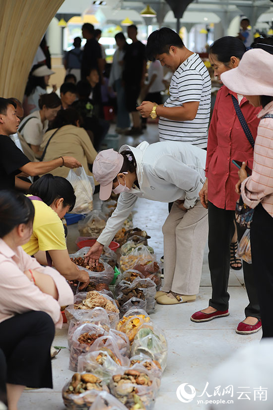 顧客在選購野生菌。人民網記者 李發興攝