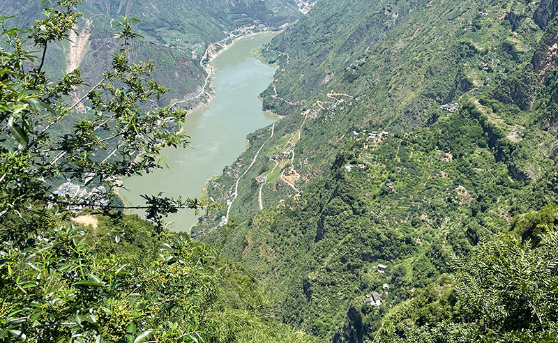 地处金沙江河谷地带的青花椒种植基地，摄影：李剑