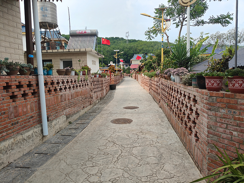 陇海村民小组村内道路。庄情缘摄