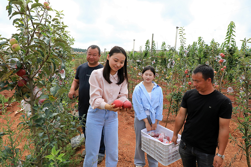 移民新村果园种植基地。