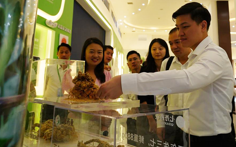 中越青年参观云南药企.