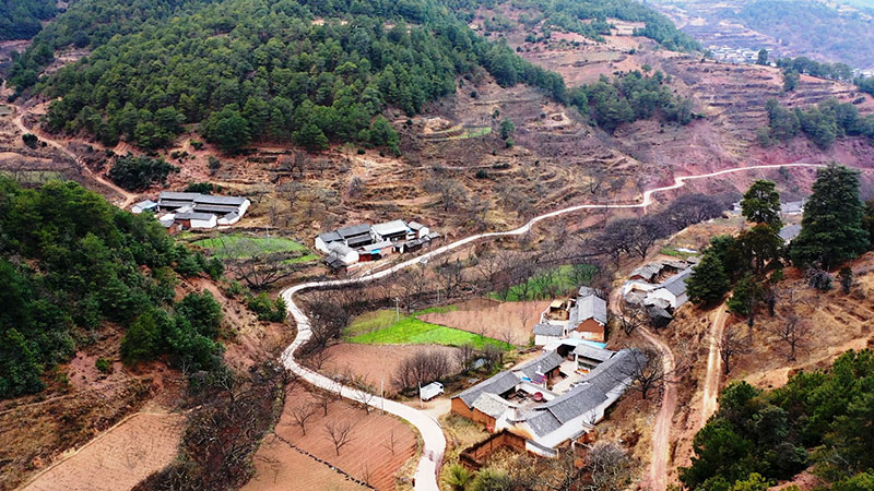 硬化后的出村公路。吴松江摄