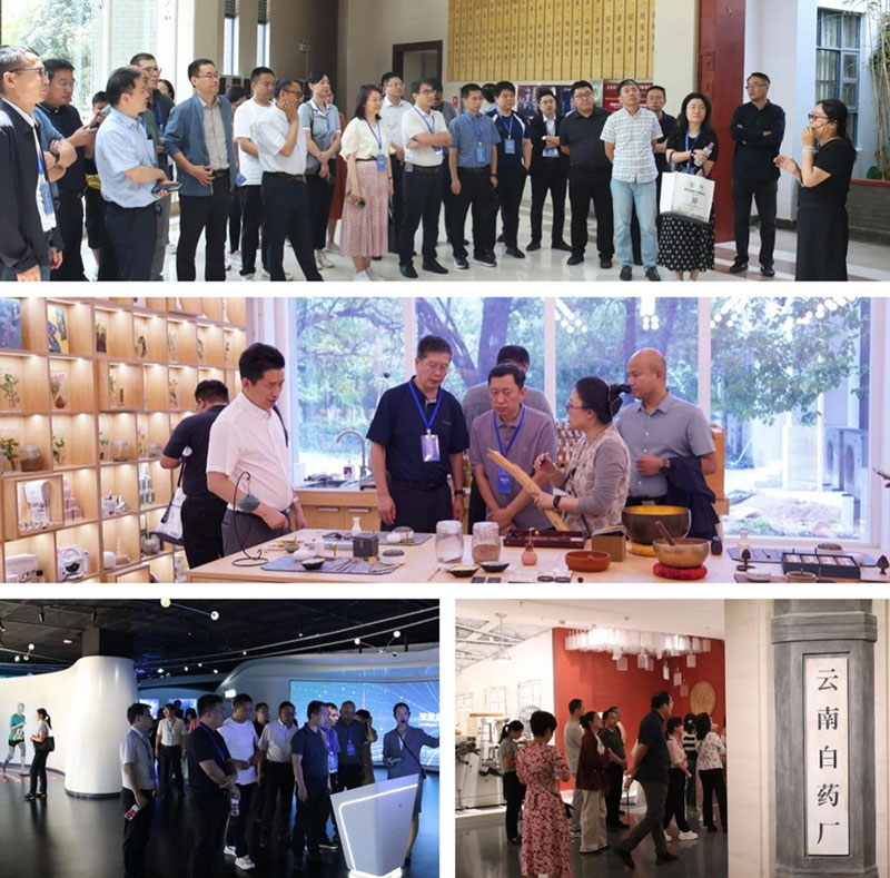 开展实践教学。