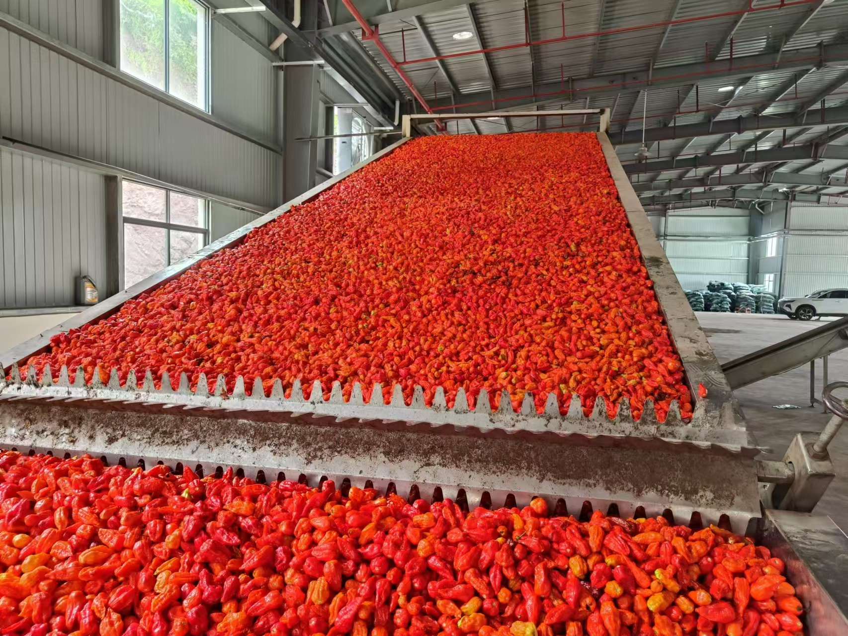當地一家企業正進行辣椒脫水加工。景東縣融媒體中心供圖