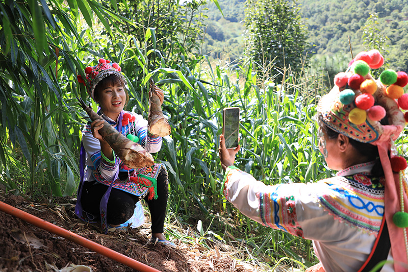 9月14日，张志敏和母亲正在拍摄乡村生活类的短视频。杨佳燕摄