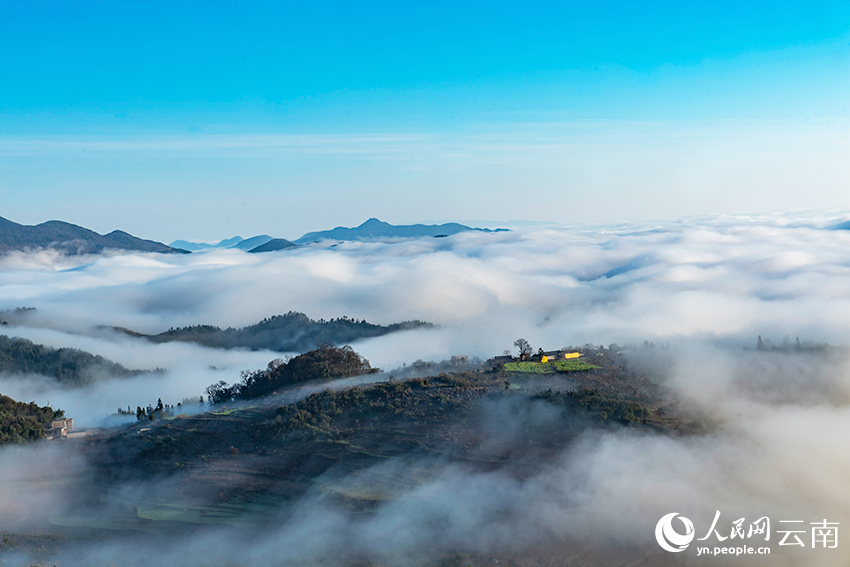 文山州丘北縣普者黑喀斯特國家濕地公園，雲霧繚繞，宛如水墨畫。熊平祥攝