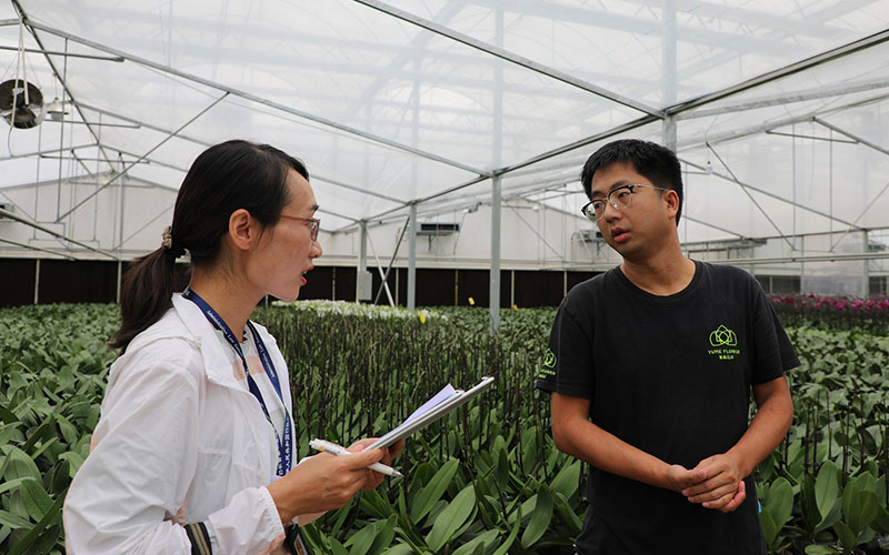 审计人员向企业负责人了解情况。林熙傜摄