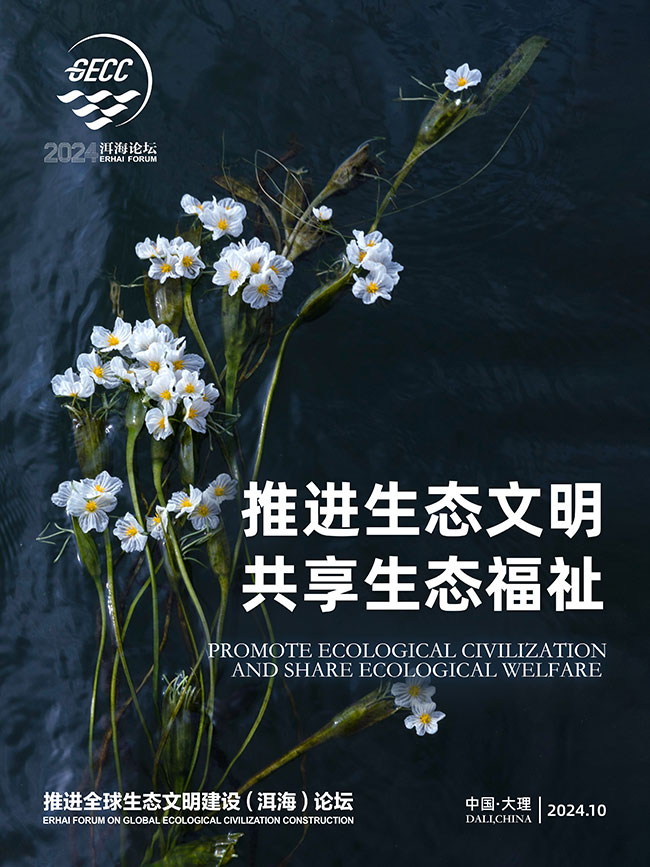 2024洱海论坛｜12张海报出炉！跟随美丽生灵走进美好生态【3】