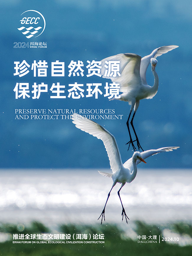 2024洱海论坛｜12张海报出炉！跟随美丽生灵走进美好生态【7】