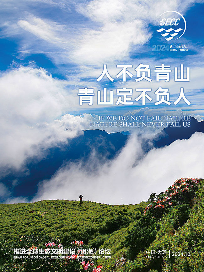 2024洱海论坛｜12张海报出炉！跟随美丽生灵走进美好生态【8】